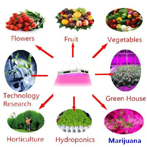 120W Greenhouses Square LED Plant Grow Light