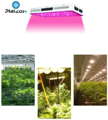 High Power COB Cree LED Plant Grow Lighting