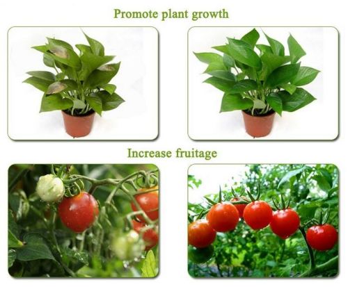 Flower Plant LED Grow Lights