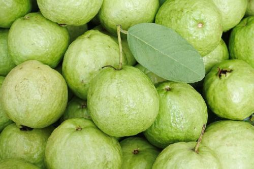 Organic Fresh Guava