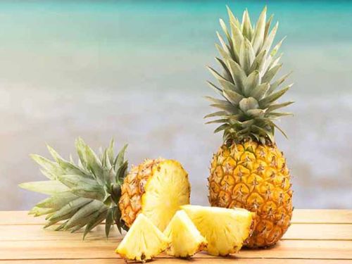 Fresh pineapple, Packaging Type - Carton