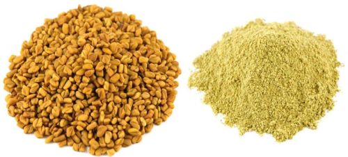 Fenugreek Powder, Purity : 100%