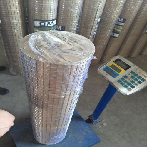 Galvanized Welded Wire Mesh