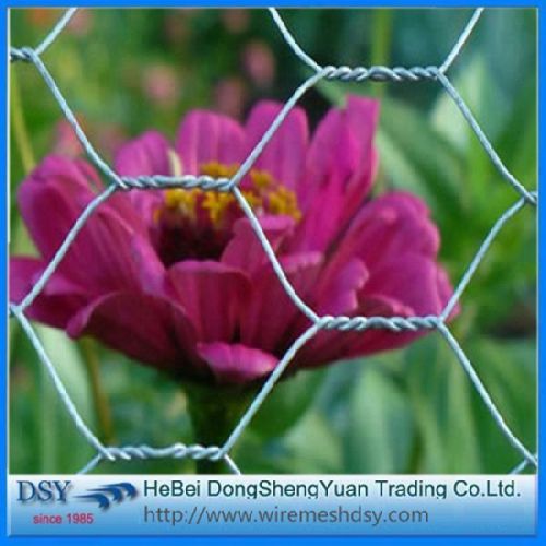 Hexagonal Chicken Wire Mesh Fence