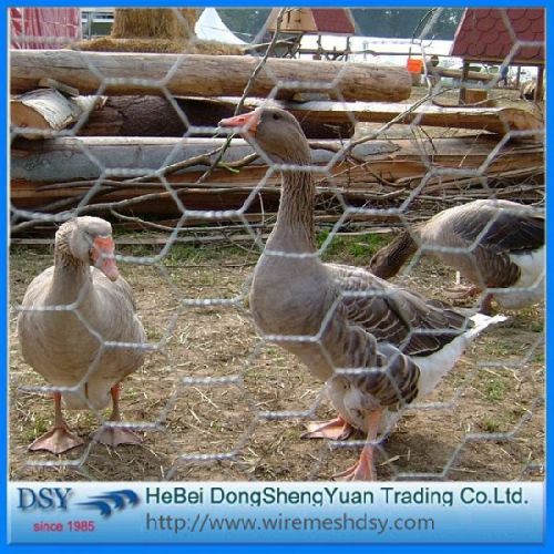 Wholesale PVC Coated Hexagonal Wire Mesh