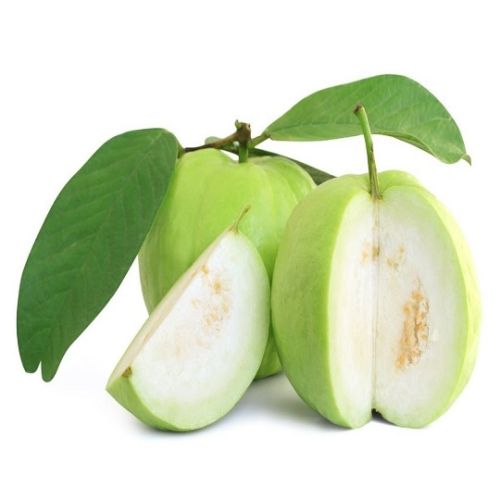 Organic Fresh Guava, Packaging Type : Packed In Good Quality Boxes