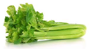 Natural Fresh Celery, Feature : Full With Iron, Good For Health, High In Vitamin D, Nutritious, Protein