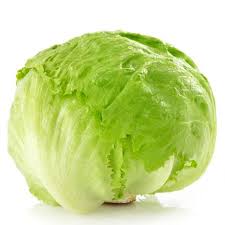 Fresh Iceberg Lettuce, Shelf Life : 5-10days