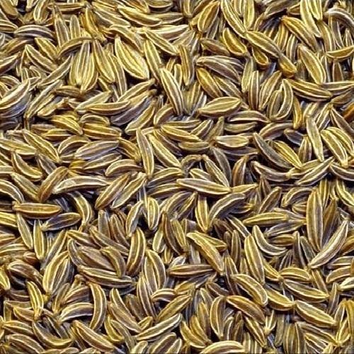 Cumin Seeds