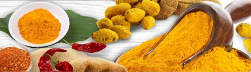 Organic Turmeric, Packaging Type : 100g, 200g, 300g, 400g, 500g