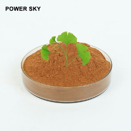 Wholesale Bulk Herb Herbs Medicinal Ginkgo Biloba 120mg 60mg