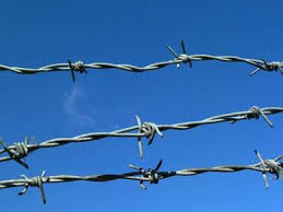 Barbed Wire, Material : SS