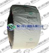 Nylon Conveyor Belt