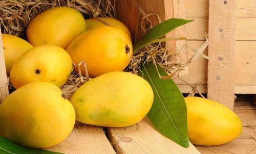 Organic fresh mango