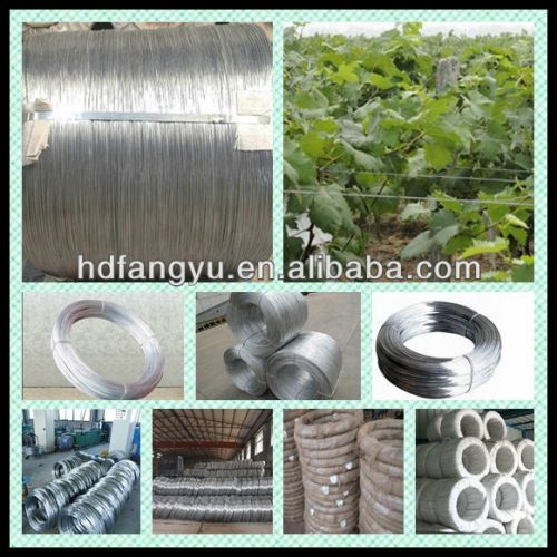 Hot Dipped Galvanized Wire