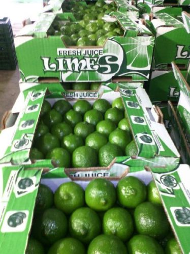 Common Fresh Lemons Multisizes, Packaging Type : Green