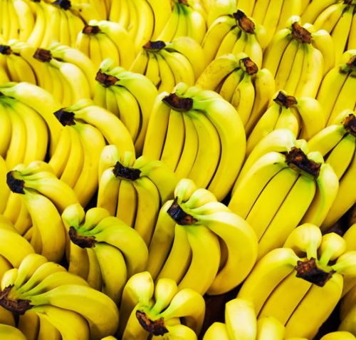 Organic Fresh Banana, Color : Yellow