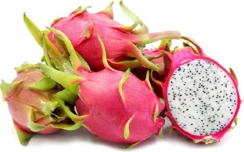 Organic Fresh Dragon Fruit