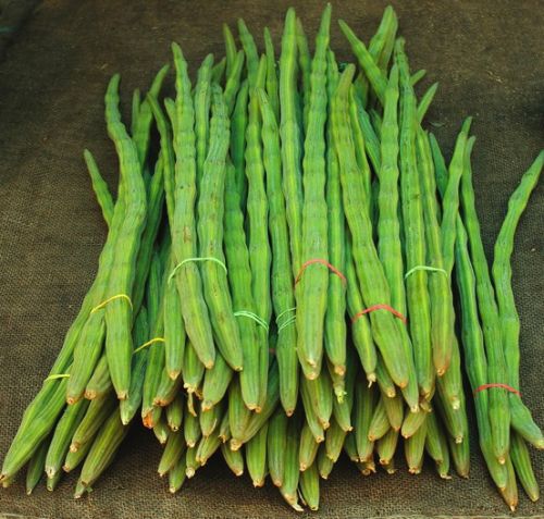 Organic Fresh Drumsticks