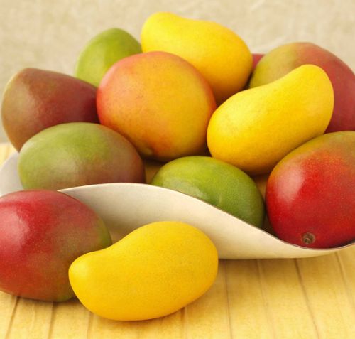 Organic Fresh Mango,fresh Mango