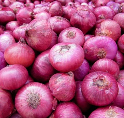 Organic Fresh Red Onion