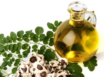 Moringa Oil, Packaging Size : 100ml