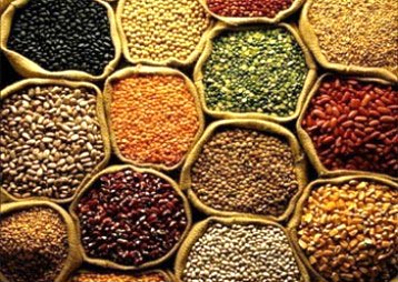 Organic Indian Pulses, Packaging Size : 25, 50 Kg