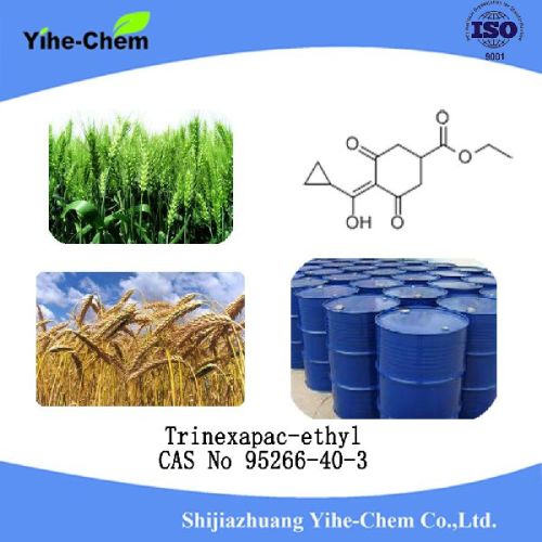 Trinexapac-ethyl Plant Growth Regulator