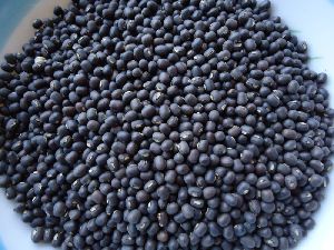 Ayush Black Urad Beans