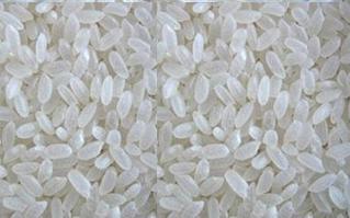 Non Basmati Short Grain White Rice