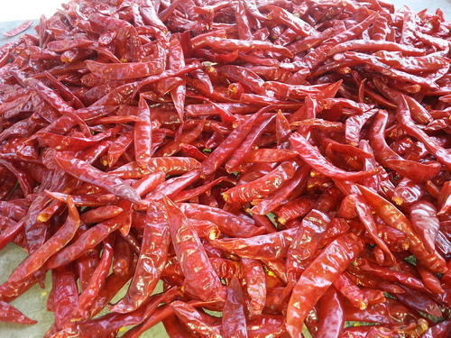 Common Red Chillies S4&334, For Cooking, Fast Food, Taste : Spicy