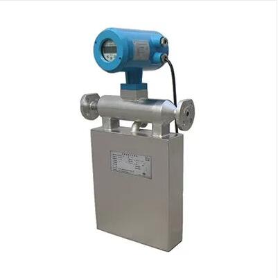 Digital Mass Flow Meter ZERO100M