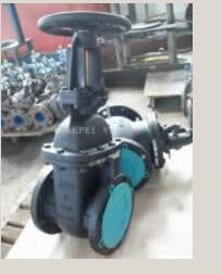 High Performance ANSI B16.10 Cast Iron Body, Cast Bronze Seat Gate Valve