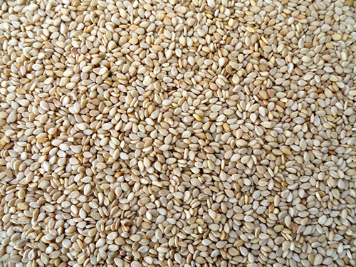 5 Star 98/2% Natural Sesame Seeds, Color : Whitish