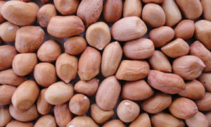 HPS Groundnut Kernels, Grade : 40/50, 45/55, 50/60, 60/70, 70/80, 80/90, 100/120, 120/140, 140/160