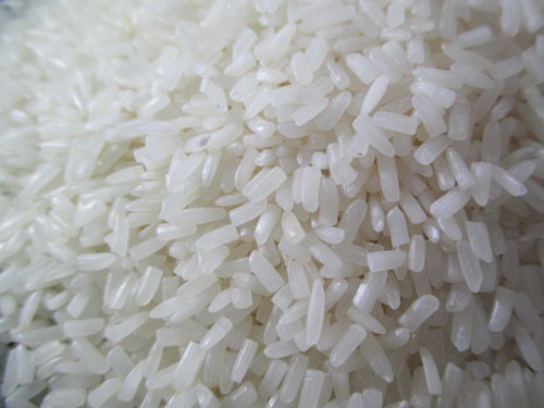 Organic 25% Broken Raw Rice, Variety : Short Grain