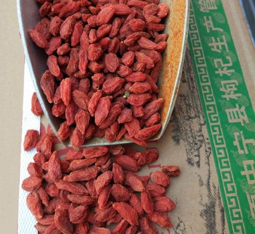 Organic Certificated Goji Berry
