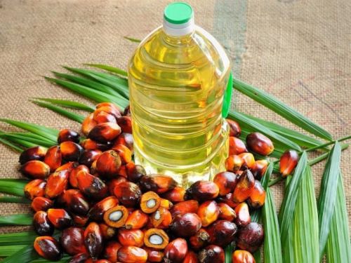 Palm Oil, For Cooking, Purity : 99%