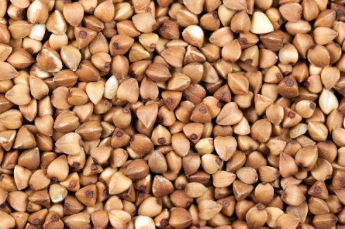 Organic Buckwheat Seeds
