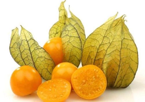 Organic Golden Berry