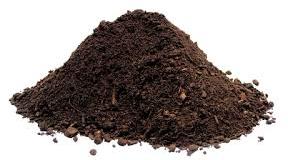 Organic Fertilizer