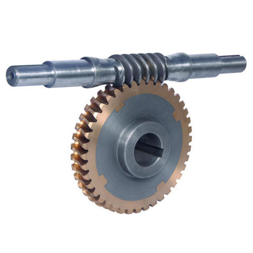 Omicron Stainless Steel Worm Gear