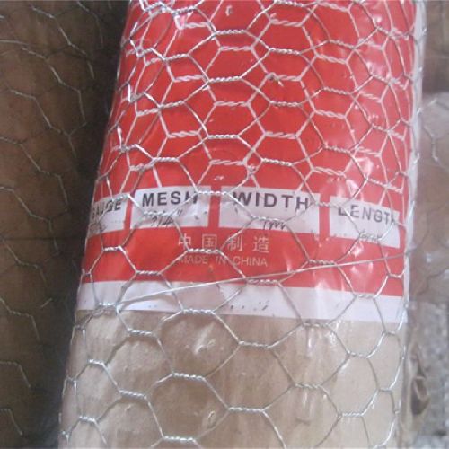Hot-dip Galvanized Hexagonal Wire Mesh