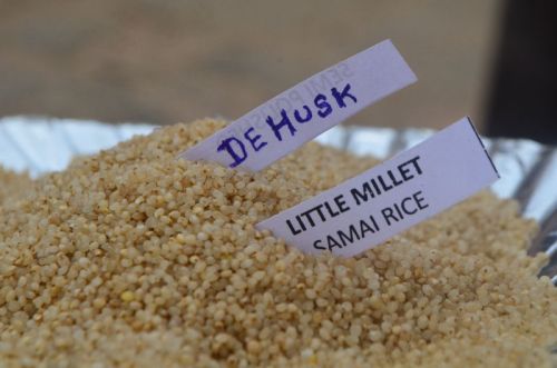 Little Millet Dehusk (samai)