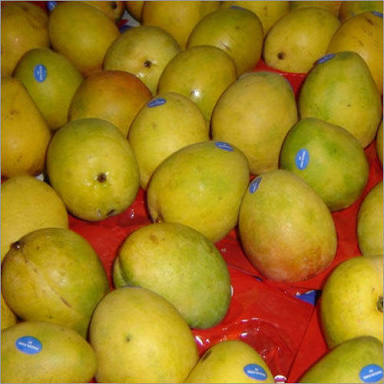 Organic Fresh Malgova Mango