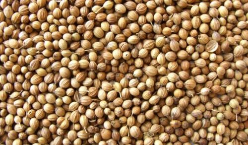 Coriander Seeds, Packaging Size : 500gm