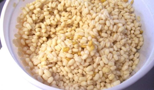 Organic Washed Urad Dal, Color : Creamy