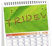 Table Calendar