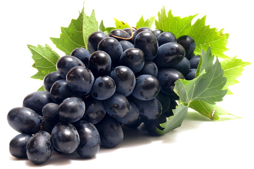 Organic Fresh Black Grapes, Shelf Life : 7-10days