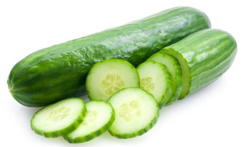 Fresh Cucumber,fresh Cucumber